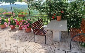 Apartment Fabris