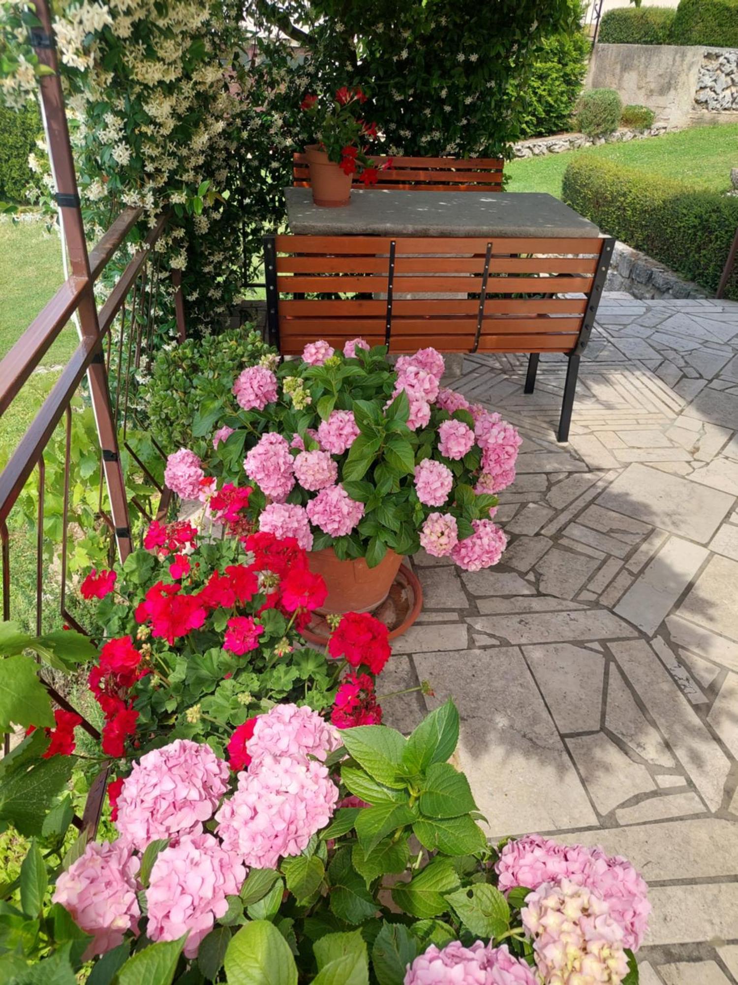 Apartment Fabris Roč Esterno foto