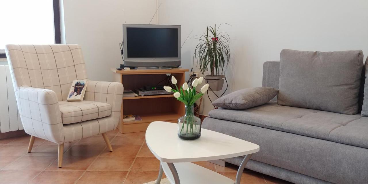 Apartment Fabris Roč Esterno foto